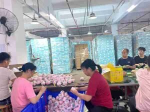 Quality & Packaging​