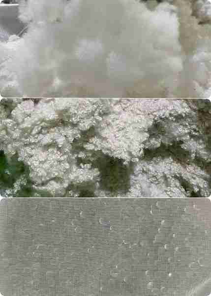 Filling options PP cotton, foam, beans,weighted materials