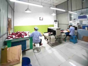 305. Needle Detection & Metal Safety Inspection