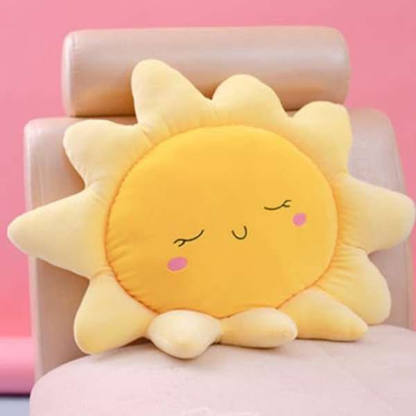 Custom Plush Pillow Cushion