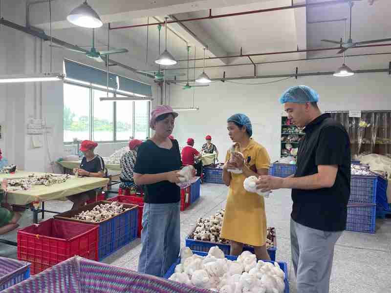 310. Professional team In-Line Quality Inspection