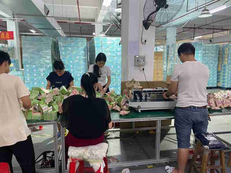 312. Labeling, Packaging & Carton Packing