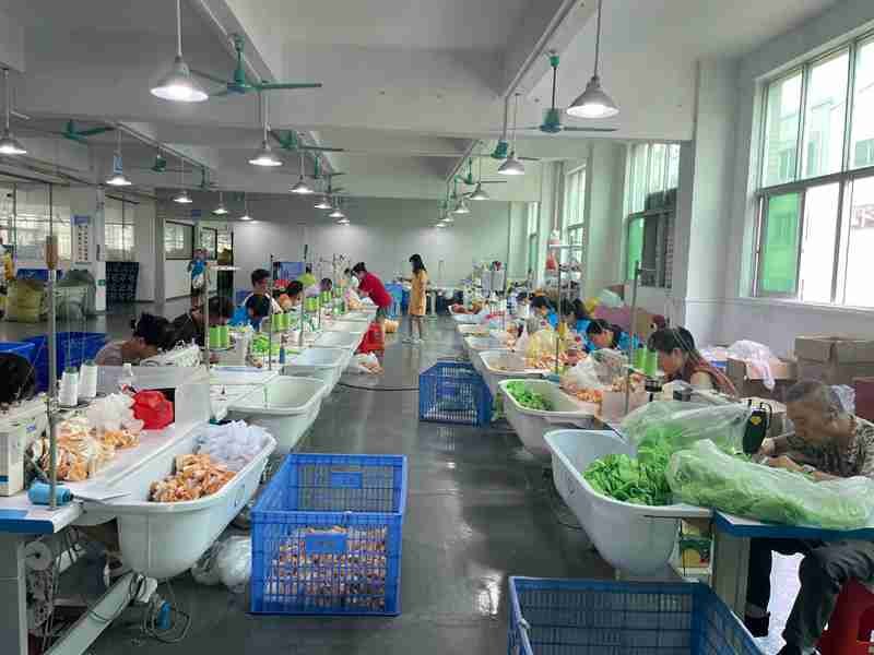 In-Line Quality Inspection