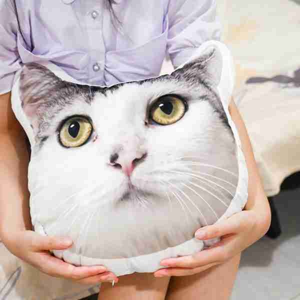 Pet Photo Plush for Retail Gift Market