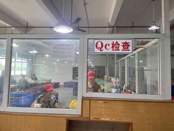 Final Appearance Inspection