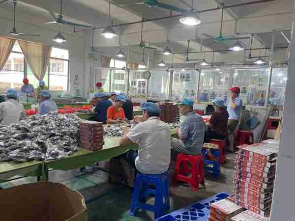 Packaging & Safety Check