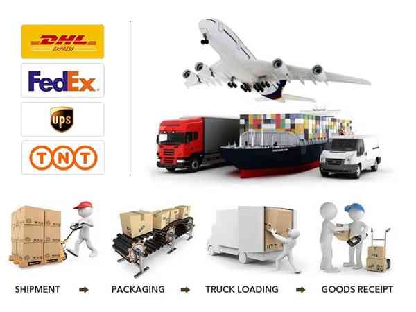 Reliable Global Shipping Support