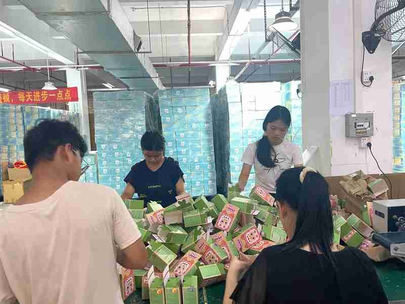 OK Step 8 Packaging, Final Check & Shipment Preparation