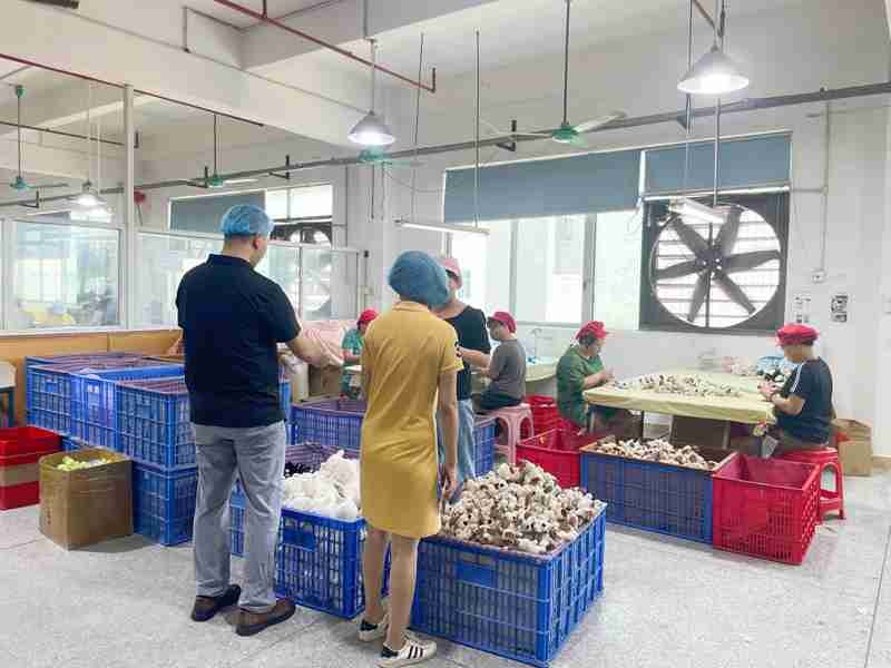 QC Stage 3｜In-Line Production Inspection (4)