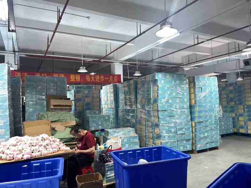 QC Stage 8｜Pre-Shipment Inspection 1