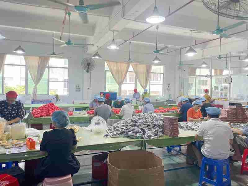 QC Stage 8｜Pre-Shipment Inspection