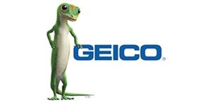 Heyzizi Custormers geico