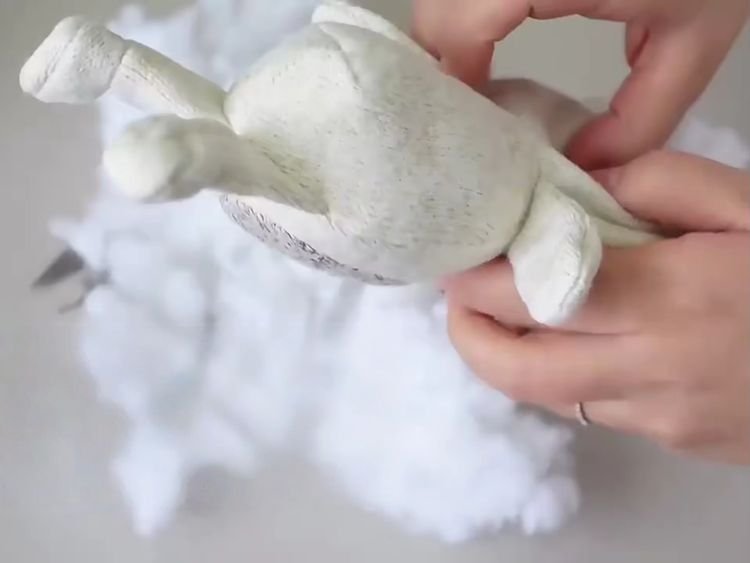 We make the first model sample to check shape